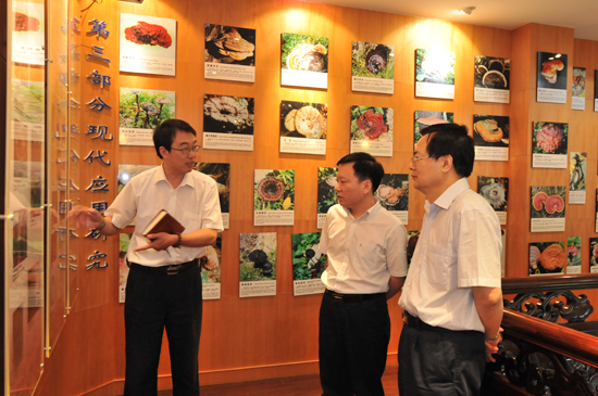 圖片關(guān)鍵詞 圖片關(guān)鍵詞