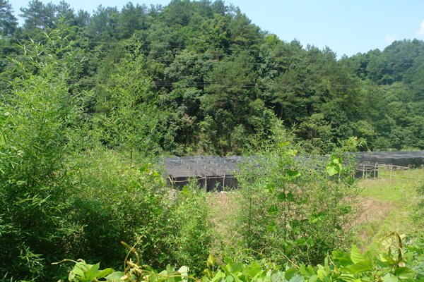 圖片關鍵詞 圖片關鍵詞