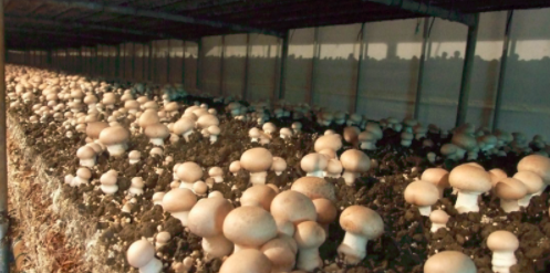 圖片關(guān)鍵詞 圖片關(guān)鍵詞