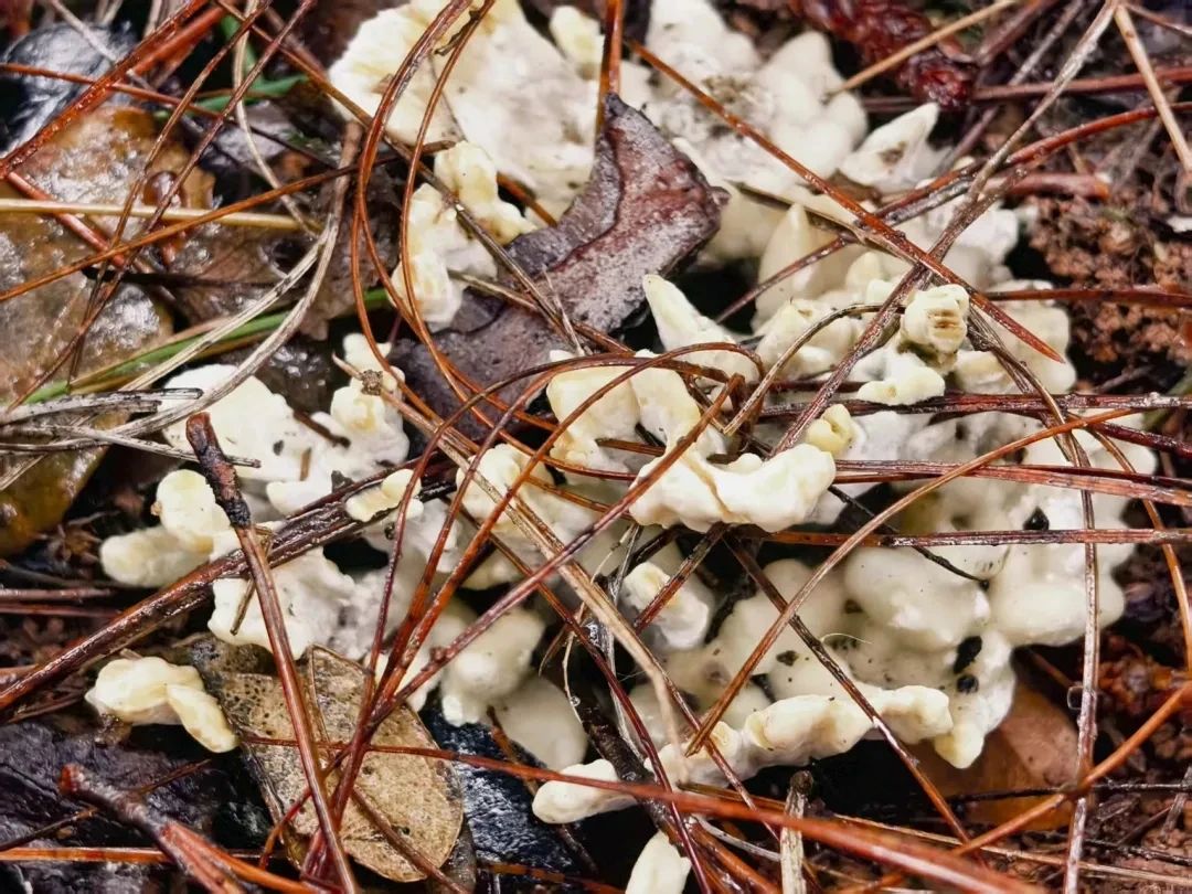 圖片關鍵詞 圖片關鍵詞